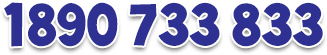 1890 733 833